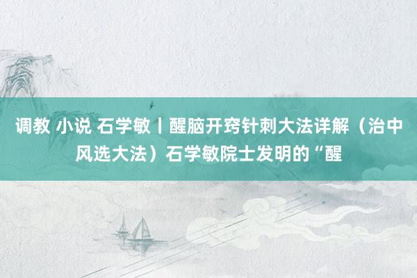 调教 小说 石学敏丨醒脑开窍针刺大法详解（治中风选大法）石学敏院士发明的“醒