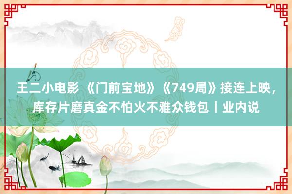 王二小电影 《门前宝地》《749局》接连上映，库存片磨真金不怕火不雅众钱包丨业内说
