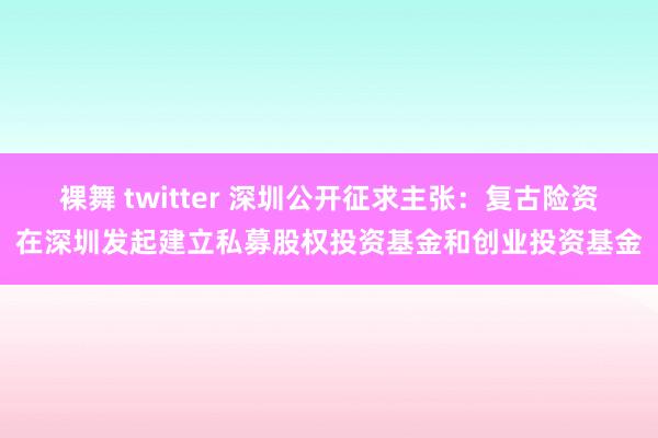 裸舞 twitter 深圳公开征求主张：复古险资在深圳发起建立私募股权投资基金和创业投资基金