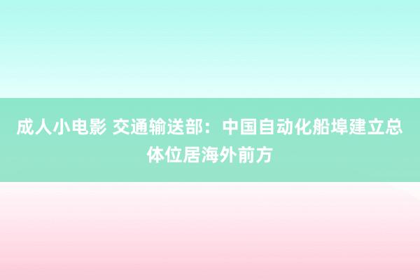 成人小电影 交通输送部：中国自动化船埠建立总体位居海外前方