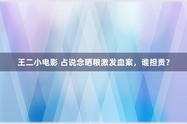 王二小电影 占说念晒粮激发血案，谁担责？