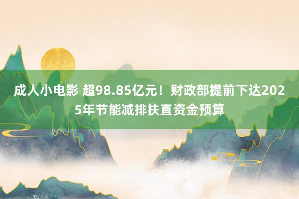 成人小电影 超98.85亿元！财政部提前下达2025年节能减排扶直资金预算