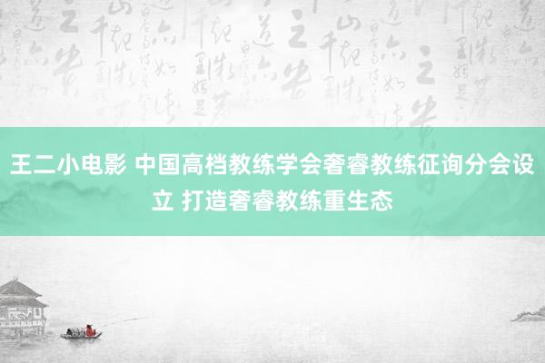 王二小电影 中国高档教练学会奢睿教练征询分会设立 打造奢睿教练重生态