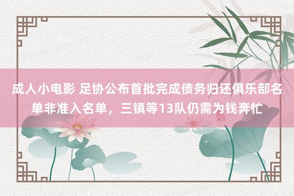 成人小电影 足协公布首批完成债务归还俱乐部名单非准入名单，三镇等13队仍需为钱奔忙