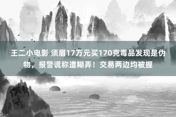 王二小电影 须眉17万元买170克毒品发现是伪物，报警谎称遭糊弄！交易两边均被握