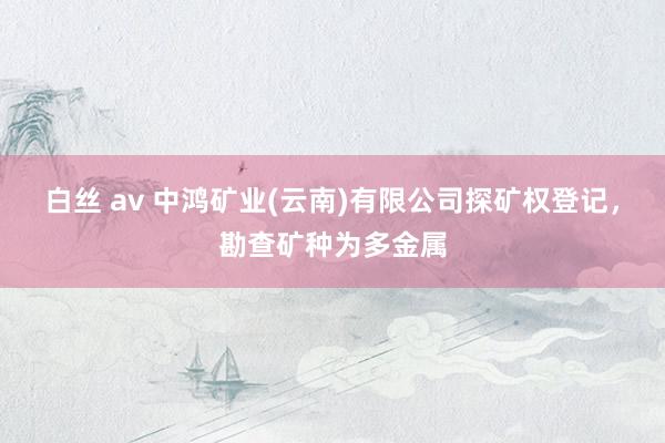 白丝 av 中鸿矿业(云南)有限公司探矿权登记，勘查矿种为多金属