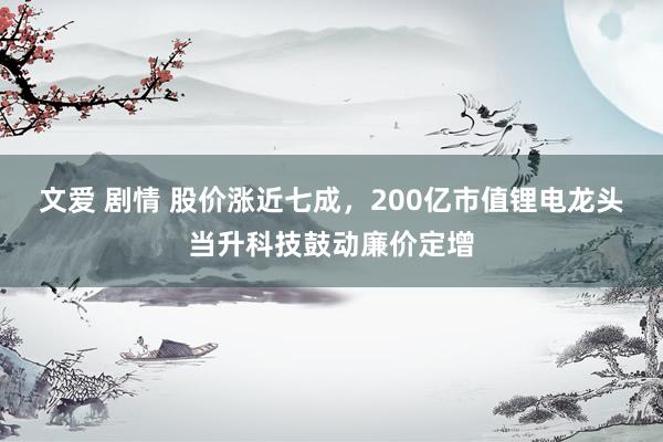 文爱 剧情 股价涨近七成，200亿市值锂电龙头当升科技鼓动廉价定增