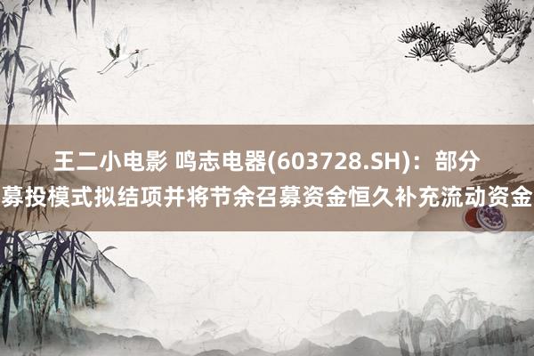 王二小电影 鸣志电器(603728.SH)：部分募投模式拟结项并将节余召募资金恒久补充流动资金