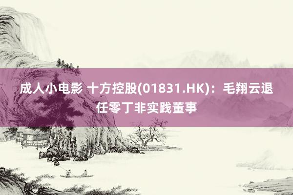 成人小电影 十方控股(01831.HK)：毛翔云退任零丁非实践董事
