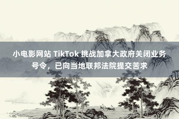 小电影网站 TikTok 挑战加拿大政府关闭业务号令，已向当地联邦法院提交苦求