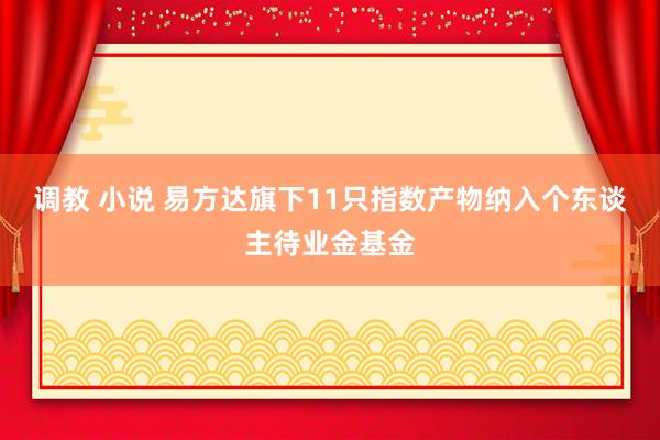 调教 小说 易方达旗下11只指数产物纳入个东谈主待业金基金