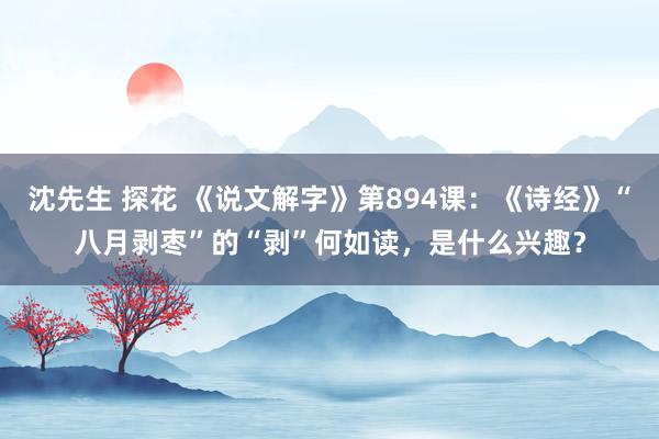 沈先生 探花 《说文解字》第894课：《诗经》“八月剥枣”的“剥”何如读，是什么兴趣？