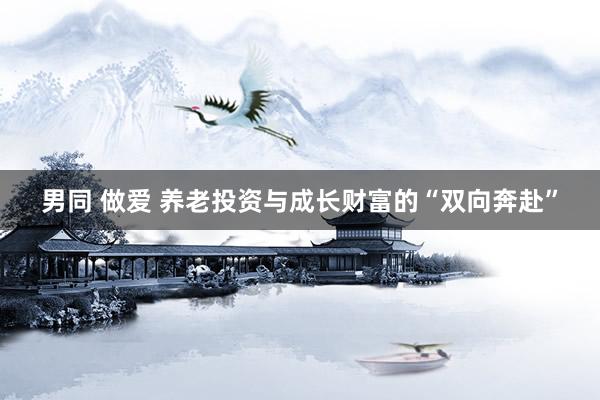 男同 做爱 养老投资与成长财富的“双向奔赴”