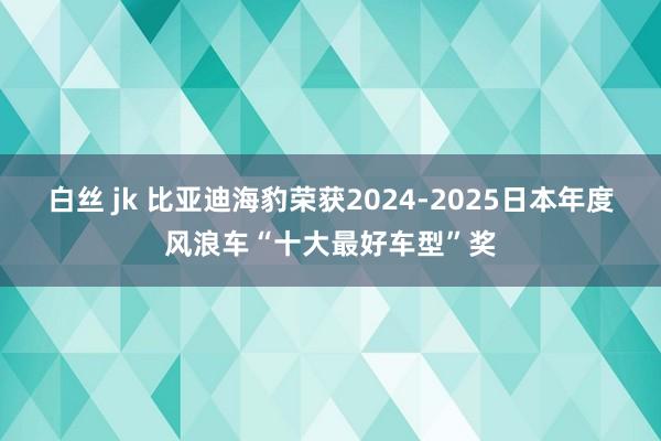 白丝 jk 比亚迪海豹荣获2024-2025日本年度风浪车“十大最好车型”奖