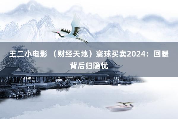王二小电影 （财经天地）寰球买卖2024：回暖背后归隐忧