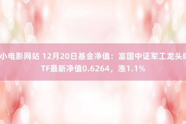 小电影网站 12月20日基金净值：富国中证军工龙头ETF最新净值0.6264，涨1.1%