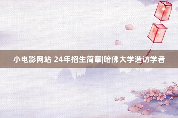 小电影网站 24年招生简章|哈佛大学造访学者