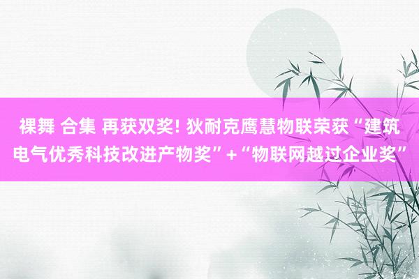 裸舞 合集 再获双奖! 狄耐克鹰慧物联荣获“建筑电气优秀科技改进产物奖”+“物联网越过企业奖”