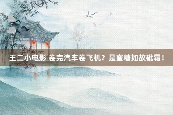 王二小电影 卷完汽车卷飞机？是蜜糖如故砒霜！