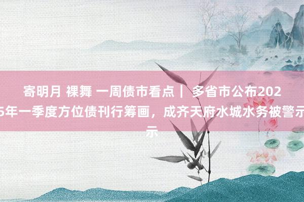 寄明月 裸舞 一周债市看点｜ 多省市公布2025年一季度方位债刊行筹画，成齐天府水城水务被警示