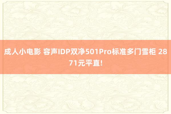成人小电影 容声IDP双净501Pro标准多门雪柜 2871元平直!
