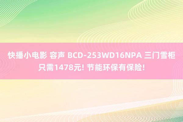 快播小电影 容声 BCD-253WD16NPA 三门雪柜只需1478元! 节能环保有保险!