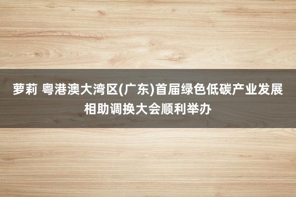 萝莉 粤港澳大湾区(广东)首届绿色低碳产业发展相助调换大会顺利举办