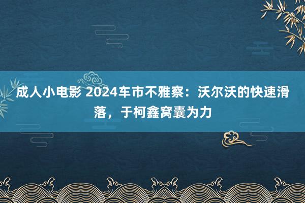 成人小电影 2024车市不雅察：沃尔沃的快速滑落，于柯鑫窝囊为力