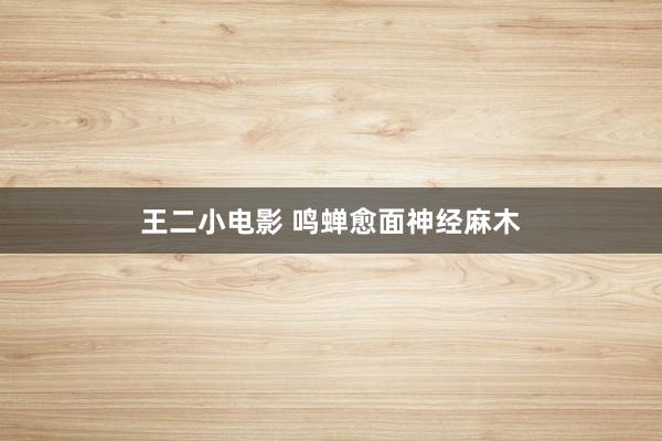 王二小电影 鸣蝉愈面神经麻木