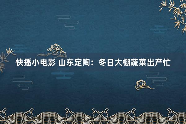 快播小电影 山东定陶：冬日大棚蔬菜出产忙