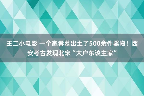 王二小电影 一个家眷墓出土了500余件器物！西安考古发现北宋“大户东谈主家”