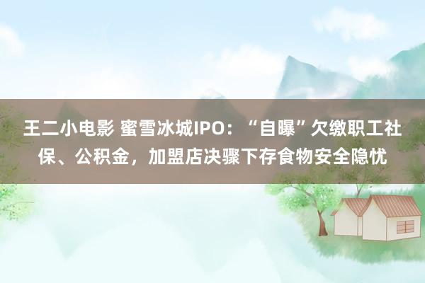 王二小电影 蜜雪冰城IPO：“自曝”欠缴职工社保、公积金，加盟店决骤下存食物安全隐忧