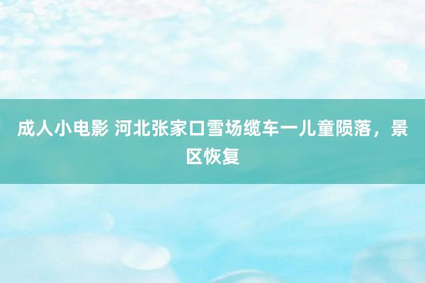成人小电影 河北张家口雪场缆车一儿童陨落，景区恢复