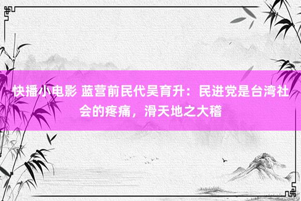 快播小电影 蓝营前民代吴育升：民进党是台湾社会的疼痛，滑天地之大稽