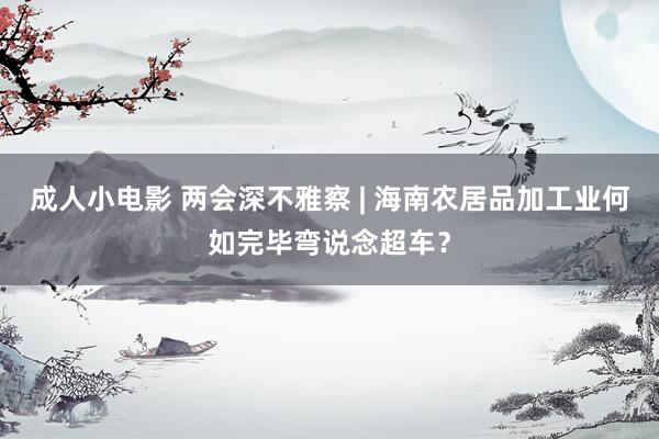 成人小电影 两会深不雅察 | 海南农居品加工业何如完毕弯说念超车？