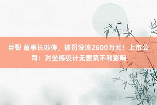 巨臀 董事长匹俦，被罚没逾2600万元！上市公司：对坐褥狡计无要紧不利影响