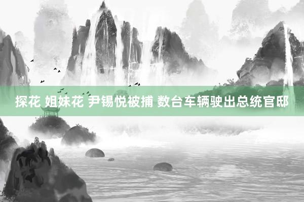探花 姐妹花 尹锡悦被捕 数台车辆驶出总统官邸
