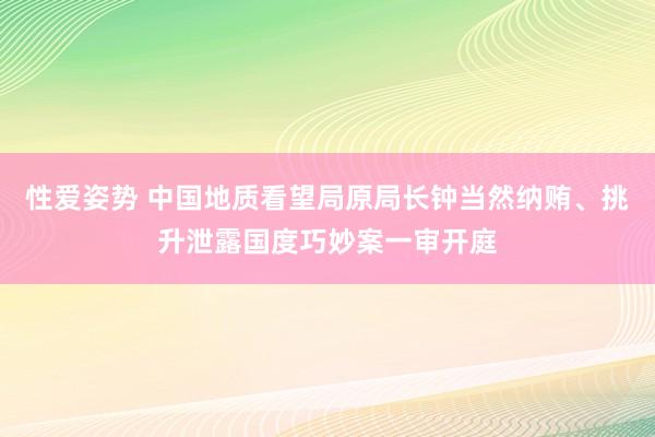 性爱姿势 中国地质看望局原局长钟当然纳贿、挑升泄露国度巧妙案一审开庭