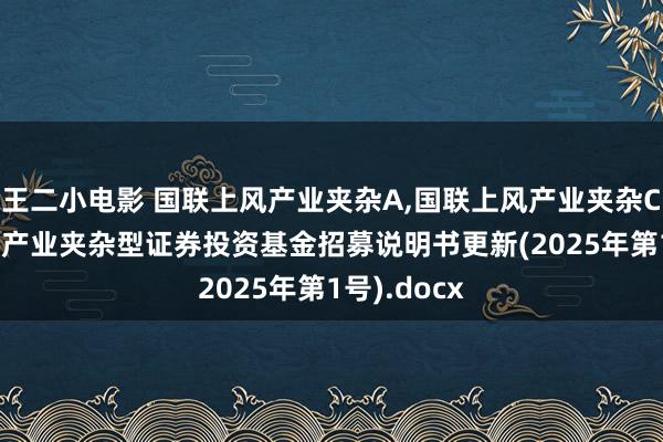王二小电影 国联上风产业夹杂A,国联上风产业夹杂C: 国联上风产业夹杂型证券投资基金招募说明书更新(2025年第1号).docx