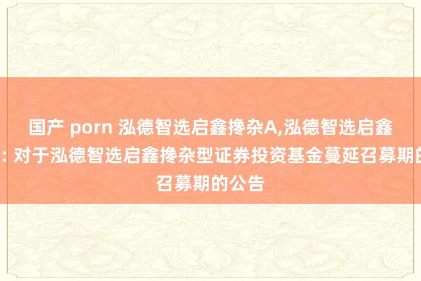 国产 porn 泓德智选启鑫搀杂A,泓德智选启鑫搀杂C: 对于泓德智选启鑫搀杂型证券投资基金蔓延召募期的公告