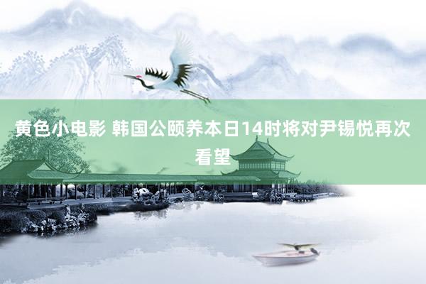 黄色小电影 韩国公颐养本日14时将对尹锡悦再次看望