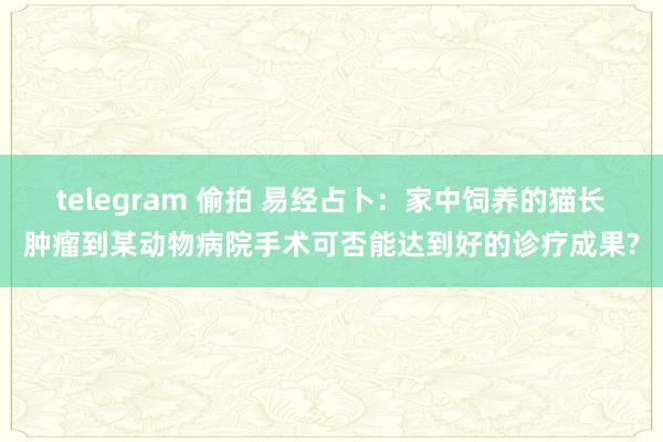 telegram 偷拍 易经占卜：家中饲养的猫长肿瘤到某动物病院手术可否能达到好的诊疗成果?