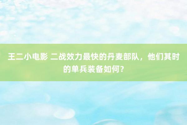王二小电影 二战效力最快的丹麦部队，他们其时的单兵装备如何？