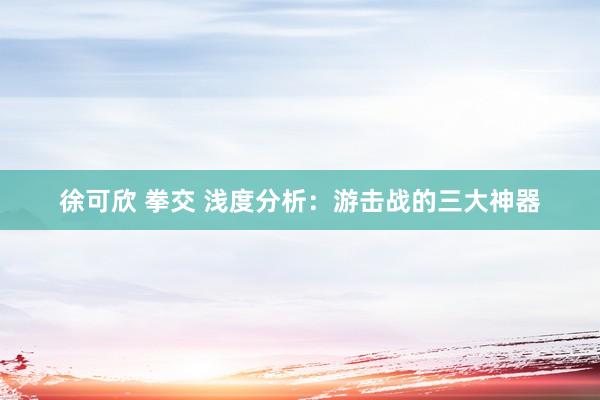 徐可欣 拳交 浅度分析：游击战的三大神器