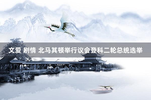 文爱 剧情 北马其顿举行议会登科二轮总统选举