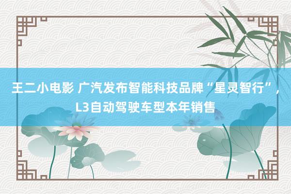 王二小电影 广汽发布智能科技品牌“星灵智行”，L3自动驾驶车型本年销售