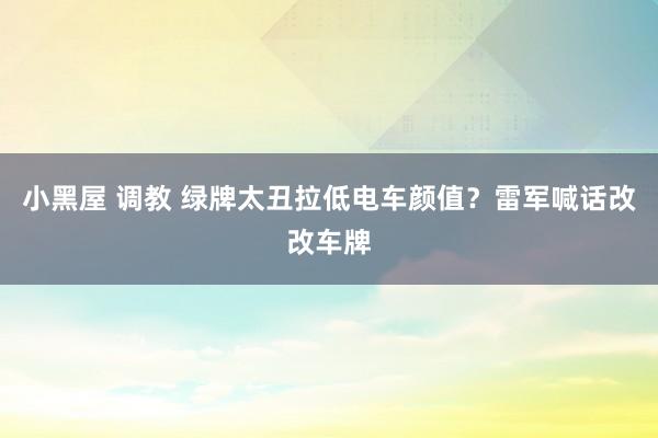 小黑屋 调教 绿牌太丑拉低电车颜值？雷军喊话改改车牌