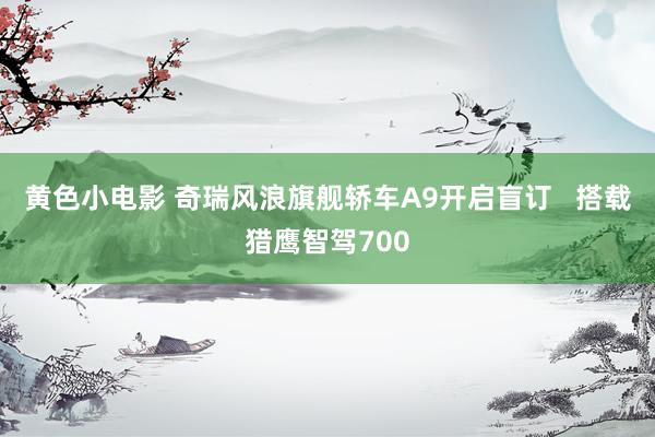 黄色小电影 奇瑞风浪旗舰轿车A9开启盲订   搭载猎鹰智驾700