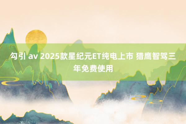 勾引 av 2025款星纪元ET纯电上市 猎鹰智驾三年免费使用