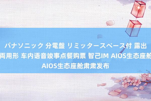 パナソニック 分電盤 リミッタースペース付 露出・半埋込両用形 车内语音竣事点餐购票 智己IM AIOS生态座舱肃肃发布